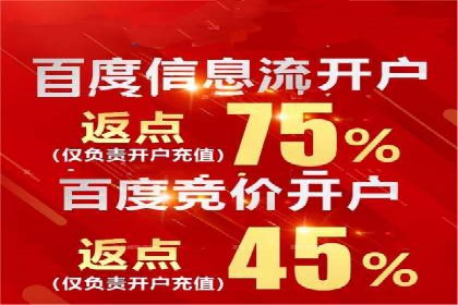 搜索引擎推广的佼佼者——百度搜索推广案例